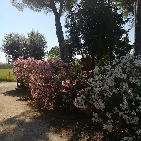 Podere Simonetta - A1 Semesterbostad Cecina (Livorno)